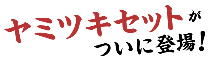ヤミツキセットがついに登場！